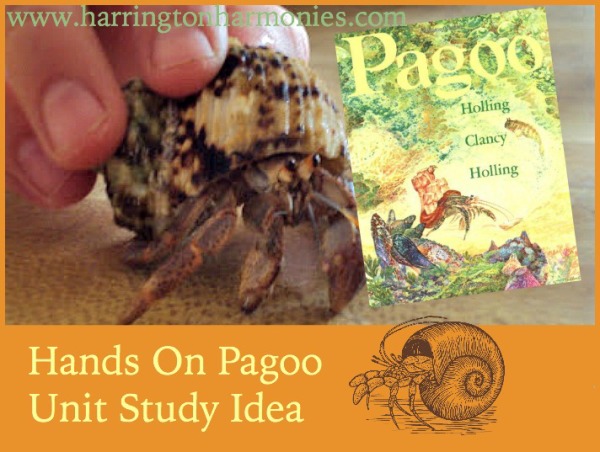 Pagoo Unit Study Ideas