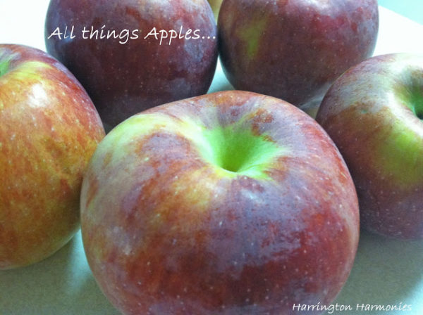 10 Uses for Apples in Your Homeschool