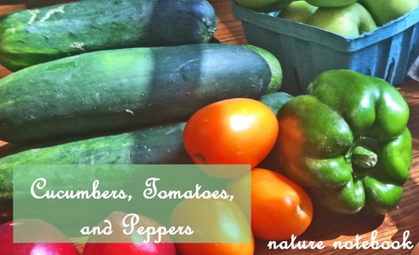Tomatoes  Peppers and Cucumbers | Harrington Harmonies