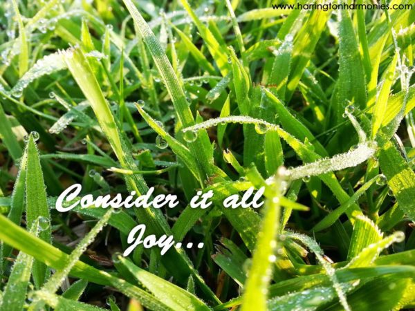 Consider it all Joy | Harrington Harmonies