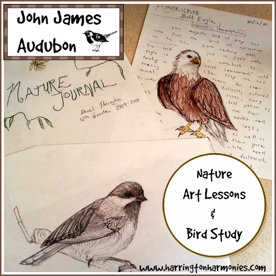 John James Audubon: Artisit Study , Nature Art Lessons and Bird Study | Harringotn Harmonies