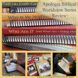 Biblical Worldview Series Review