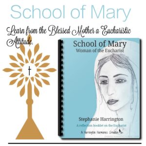 School of Mary: Reflection Booklet on the Eucharist by Stephanie Harrinton
