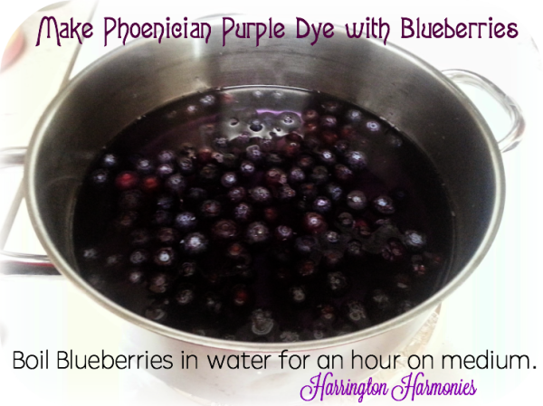 Make Phoenician Purple Dye