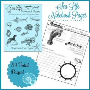 Sea life Notebook Pages