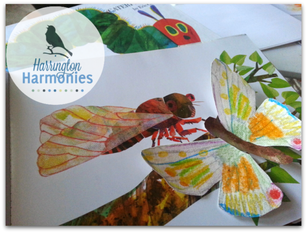 Insect Textures- Eric Carle Art Lesson