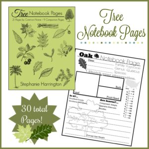 Tree Notebook Pages